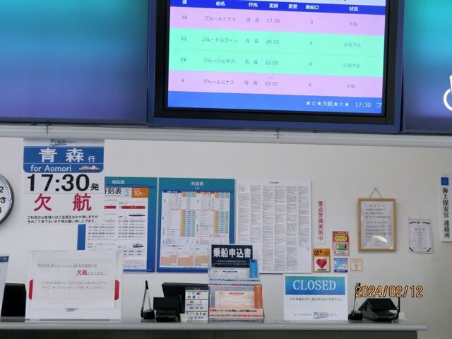 ブルールミナス欠航.jpg