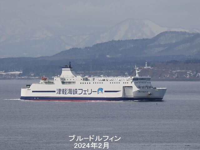 ブルｰドルフィン2024年2月.jpg