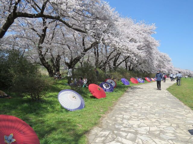 展勝地.jpg