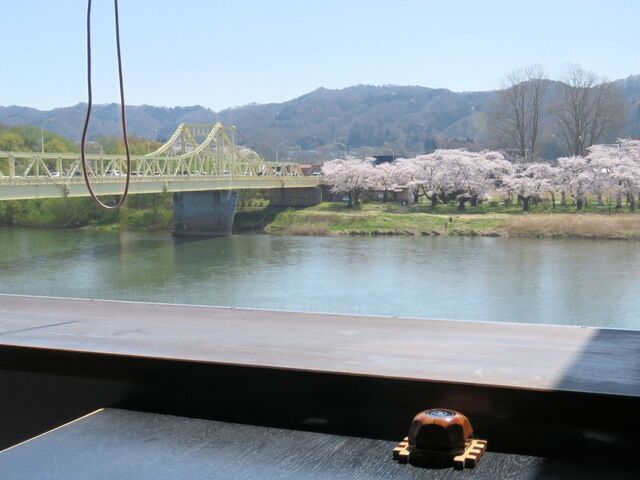花見をしながらお料理.jpg