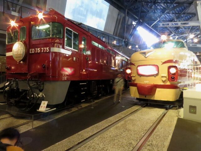ED75.jpg